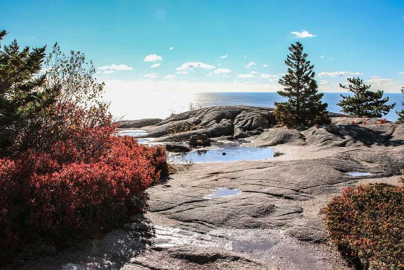 Acadia's Coastal Wilderness