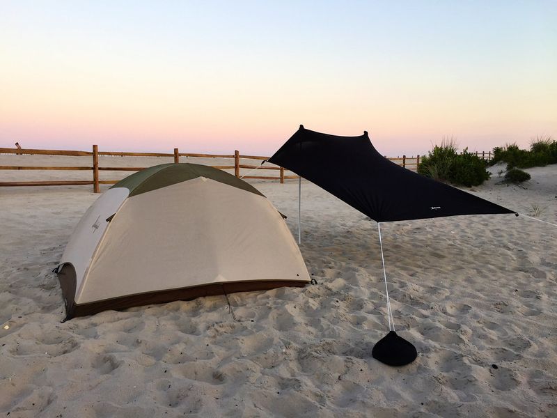 Assateague's Wild Pony Shoreline