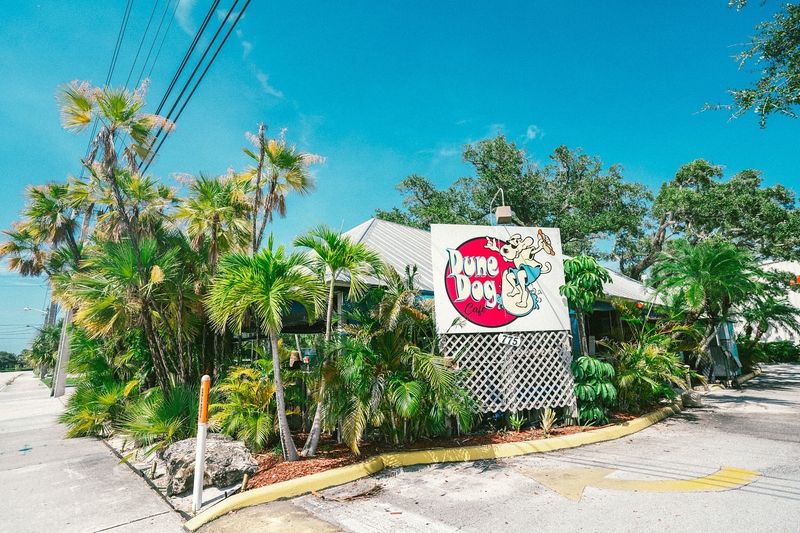 Dune Dog Cafe – Jupiter