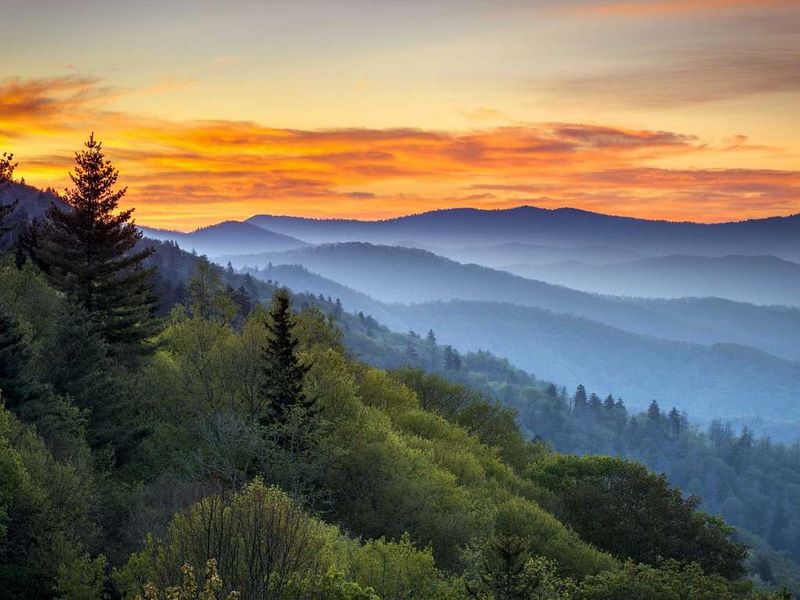 Great Smoky Mountains' Misty Magic
