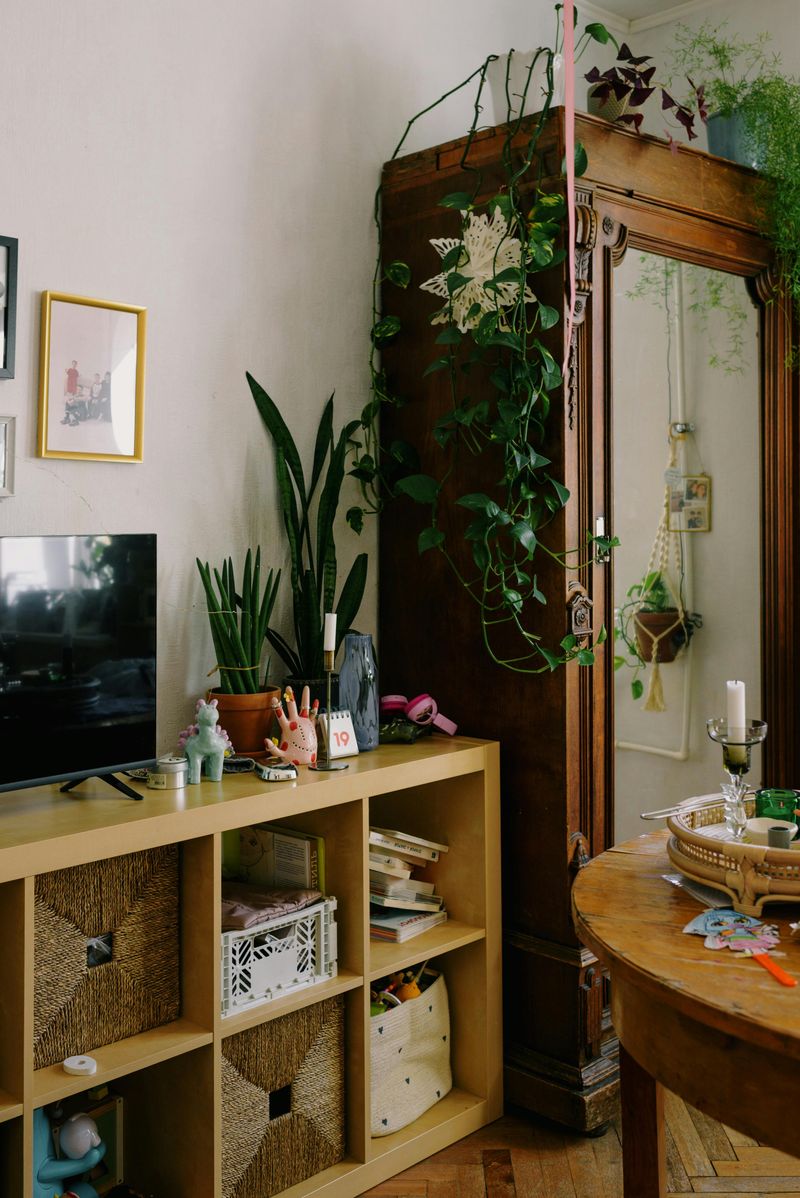 Indoor Plants Breathe Life Into Spaces