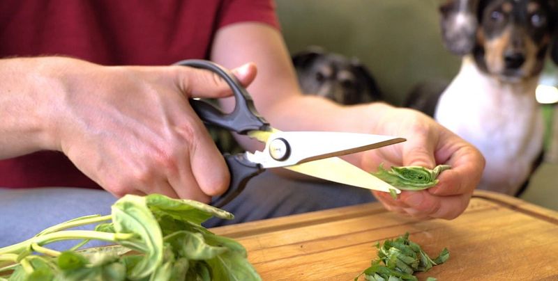 Kitchen Shears: The Underrated Multi-Tool