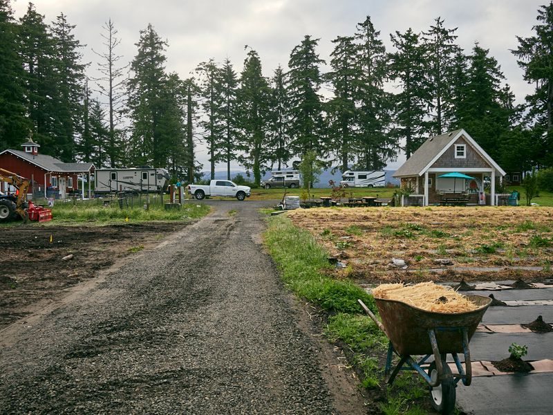 Olympic's Three-Ecosystems Experience