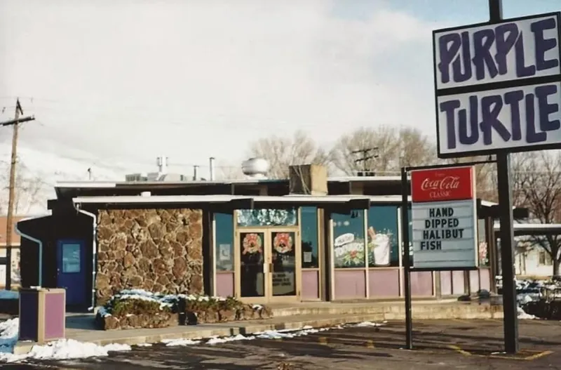 Purple Turtle