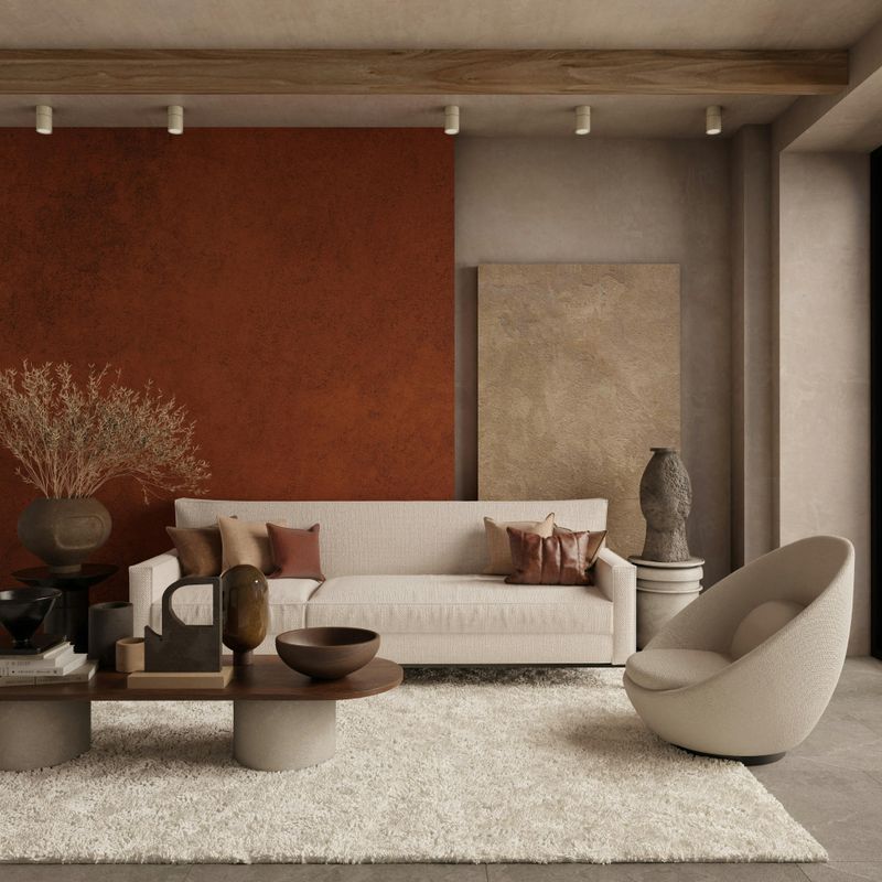 Shag Rugs
