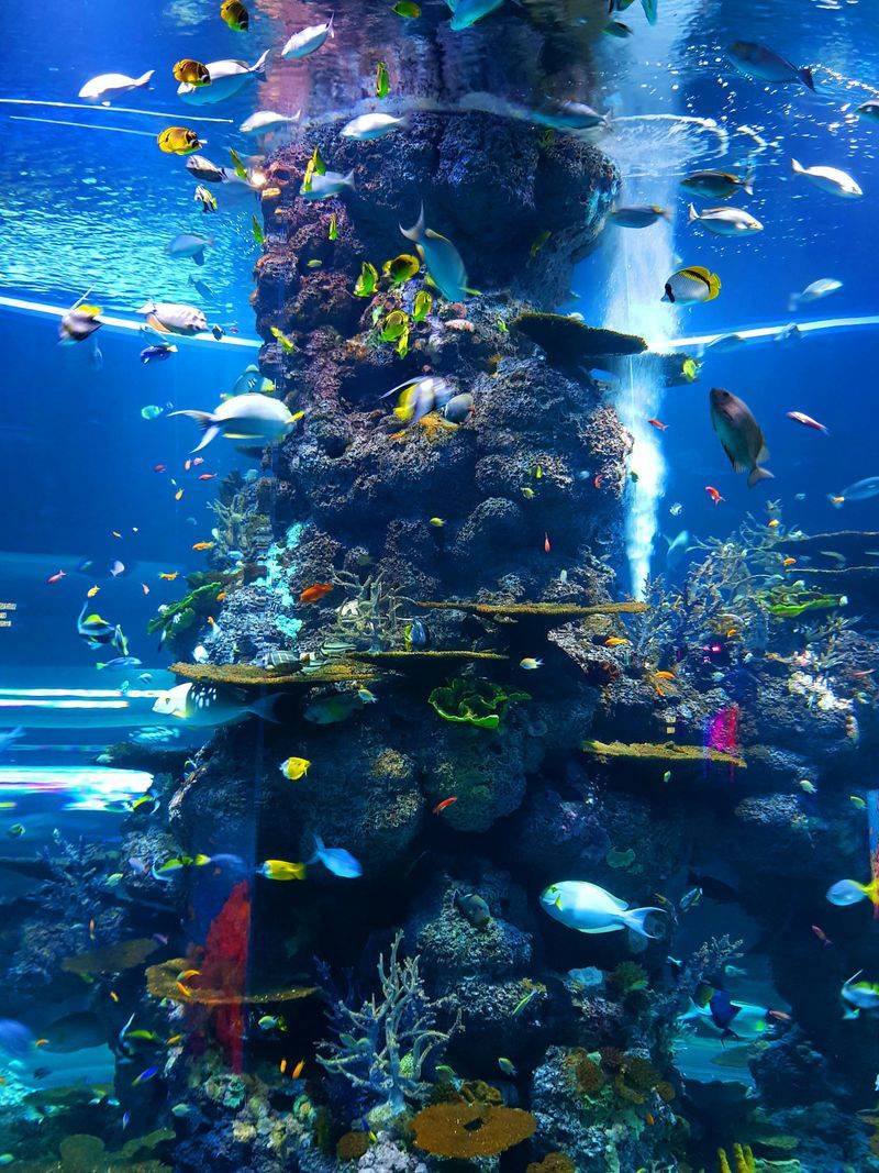 Singapore's Underwater Forest Kingdom