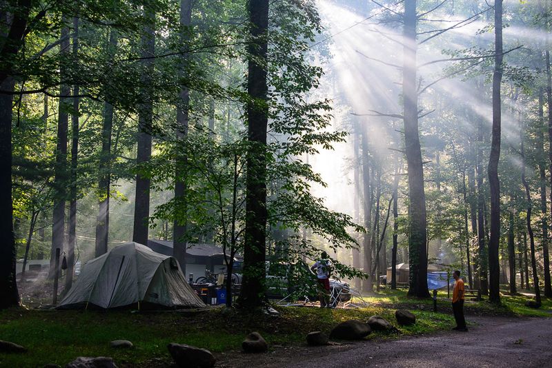 Smoky Mountains' Forest Adventure