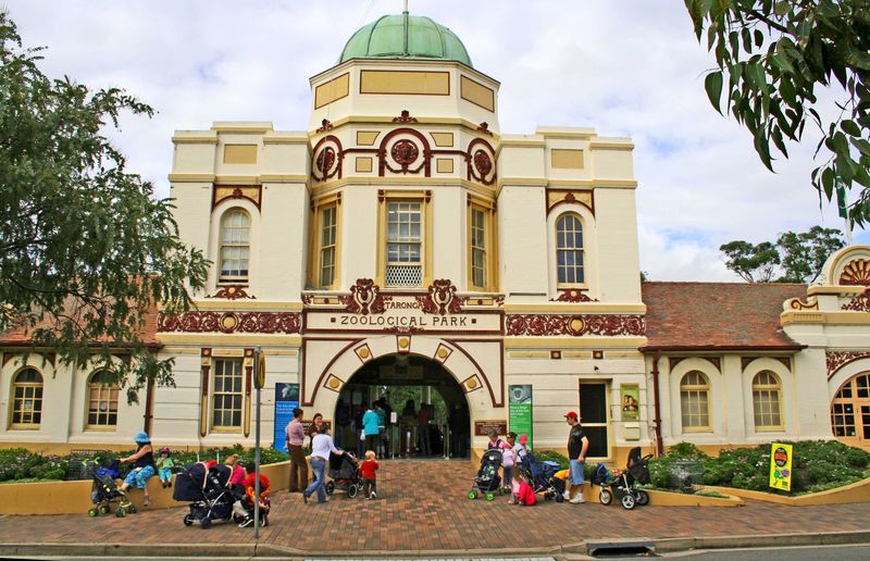 Taronga Zoo's Wild Sleepover Adventure