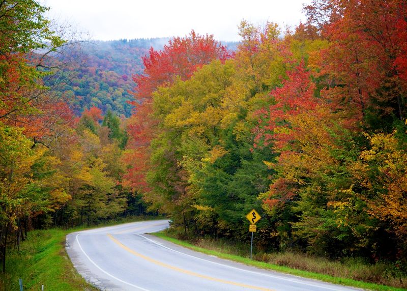 Vermont's Route 100