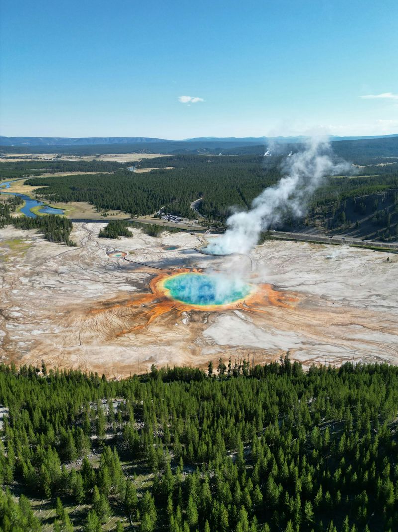 Yellowstone's Wild Wonders