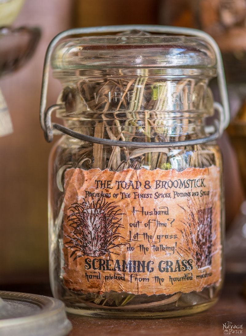 Apothecary Jars With Specimen Labels