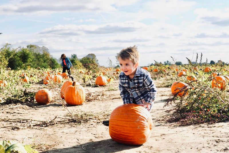 Beasley’s Orchard — Danville