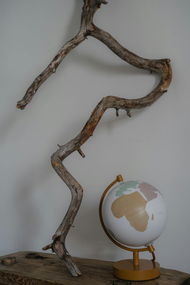 Branches and Driftwood