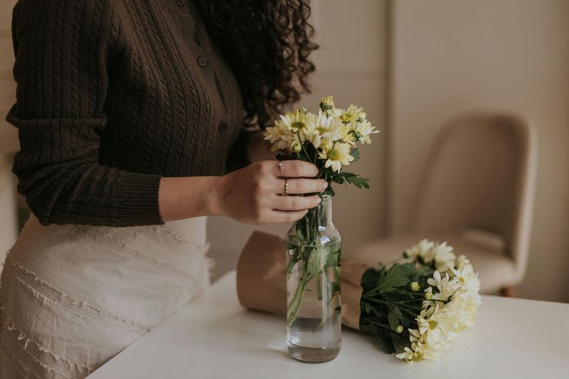 Bring Nature Indoors with Plants