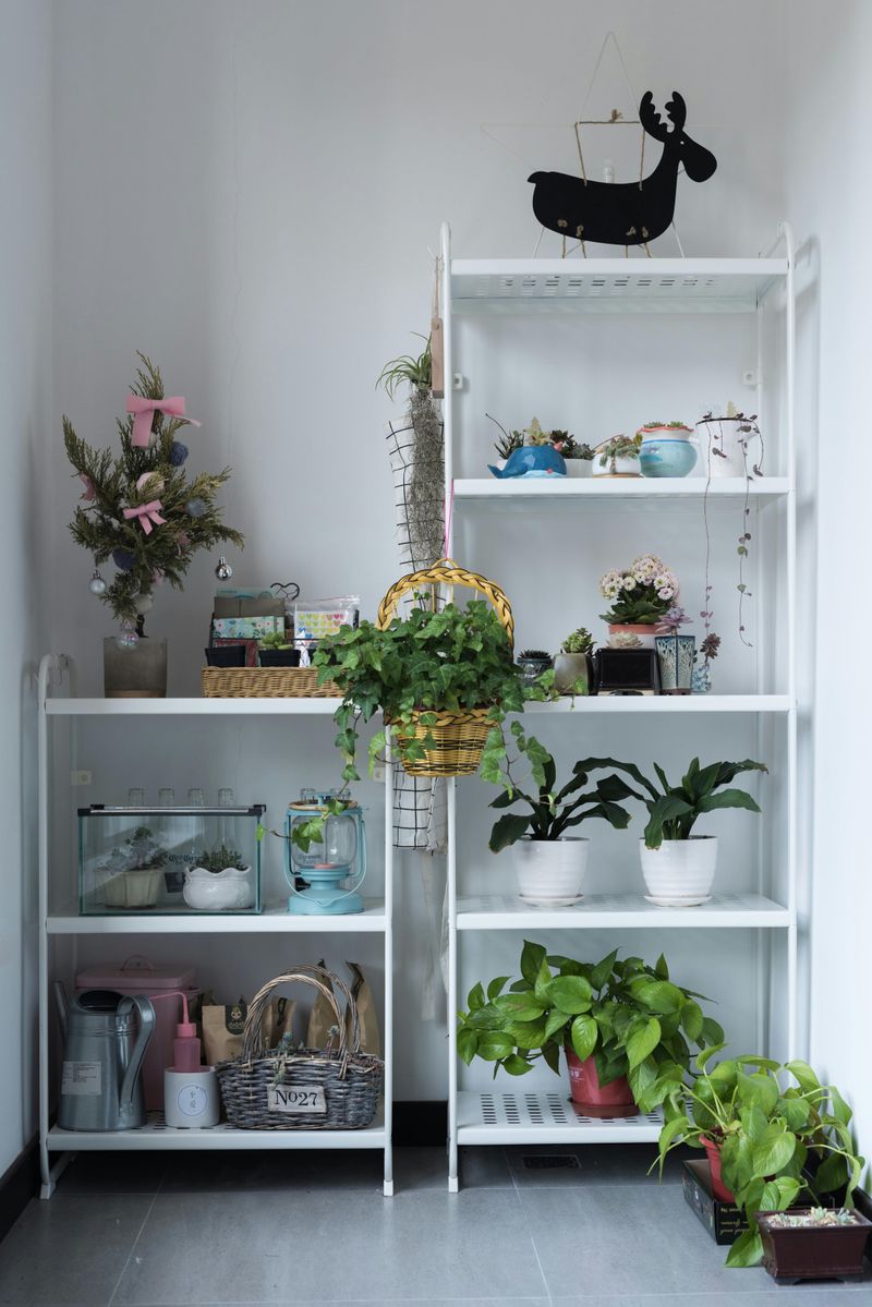 Bring Nature Inside with Plants