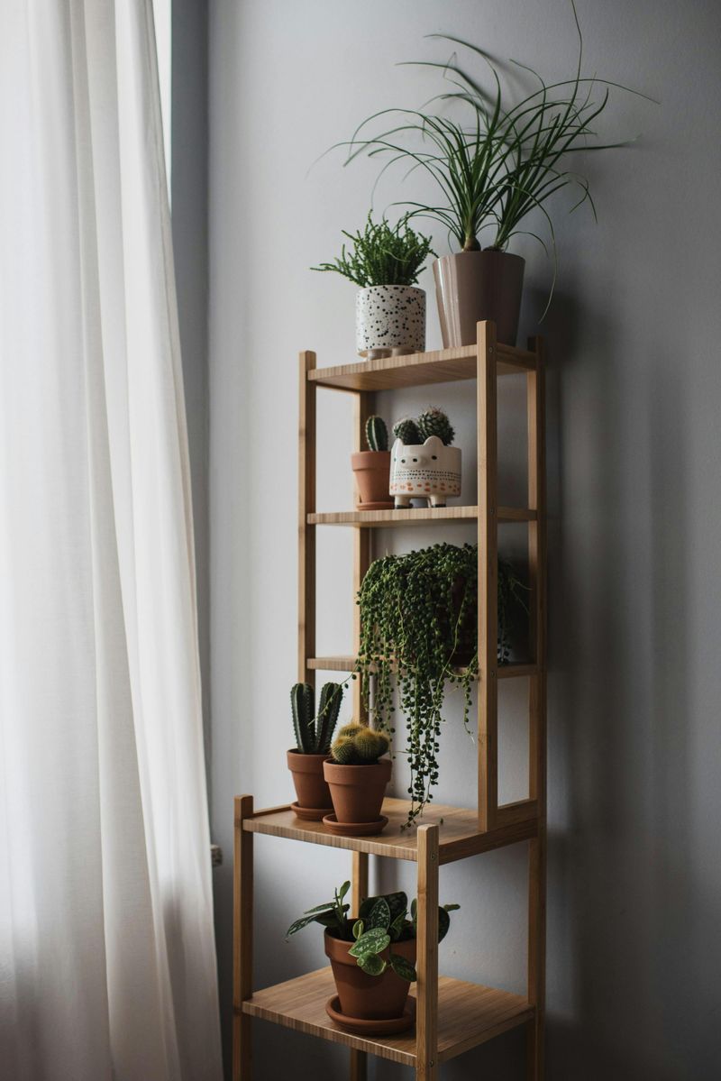 Bring in Greenery and Houseplants