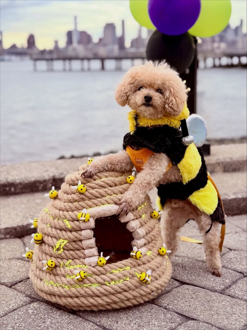 Bumblebee Wings and Antennae