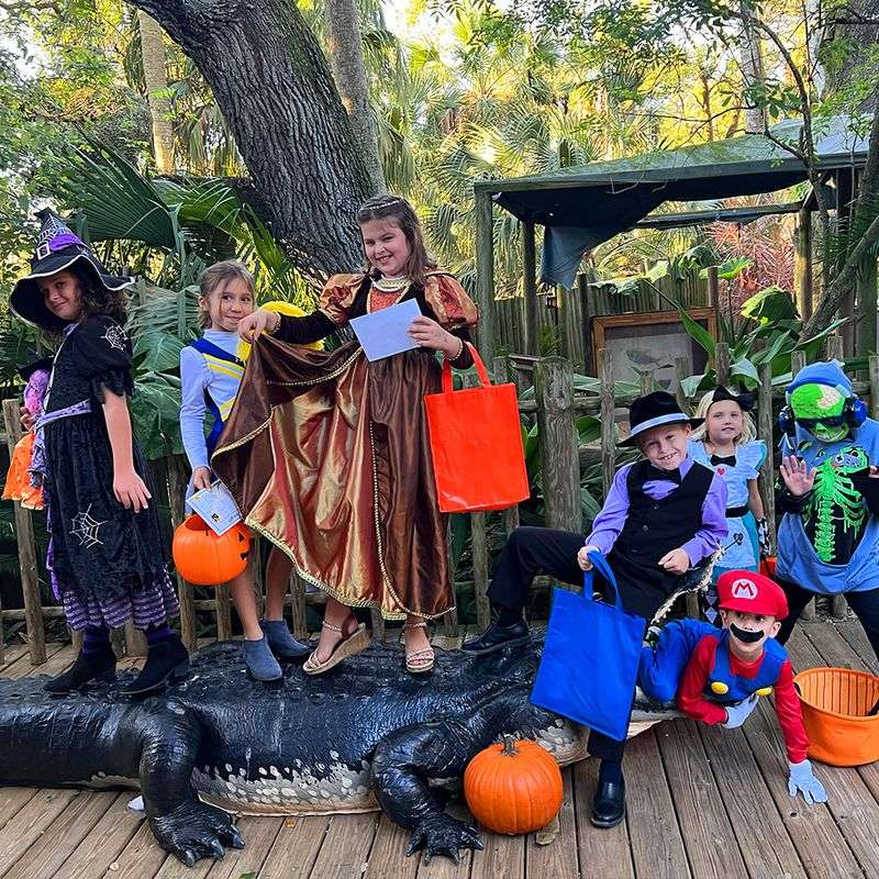 Creatures of the Night — St. Augustine Alligator Farm (St. Augustine)