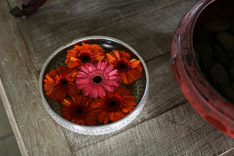 Decorative Bowl with Natural Elements