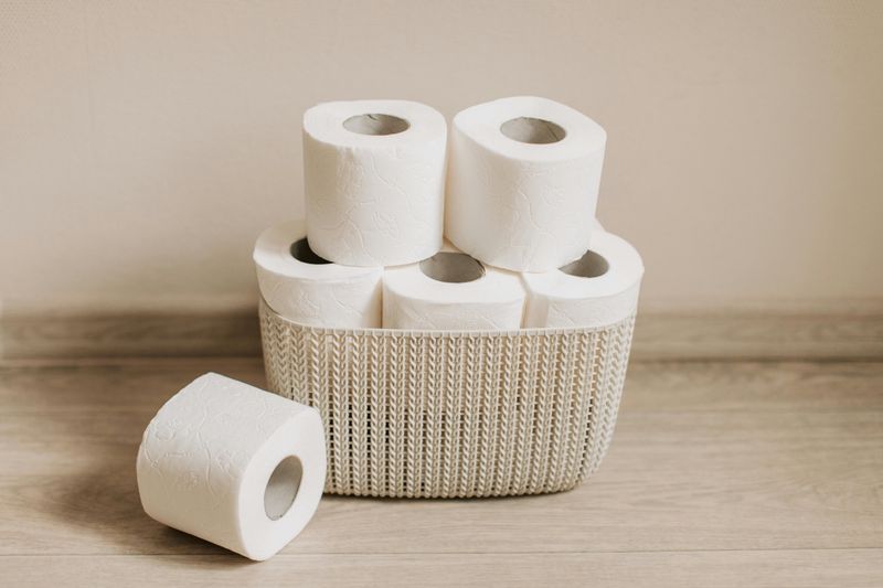 Empty Toilet Paper Holder