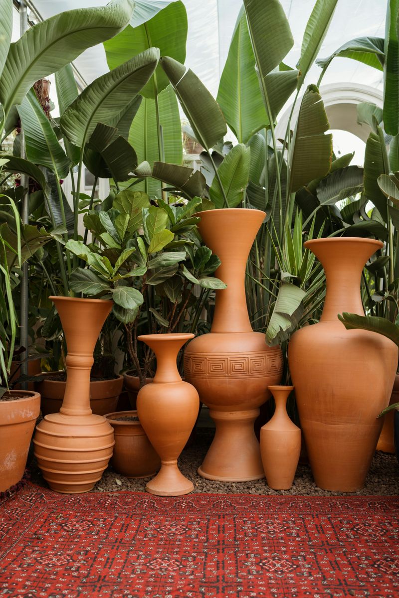 Exchange Plastic Plant Pots for Ceramic or Terracotta Planters