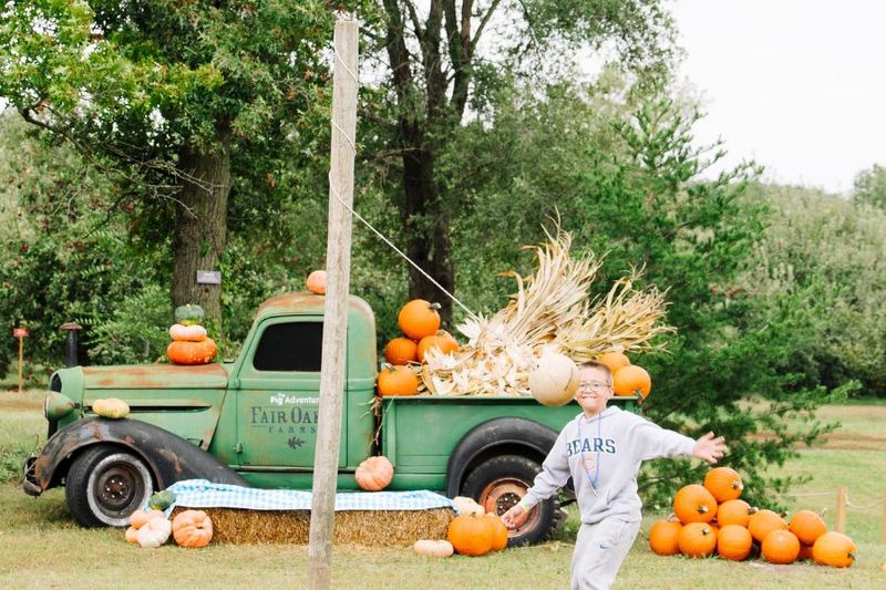 Fair Oaks Farms — Fair Oaks