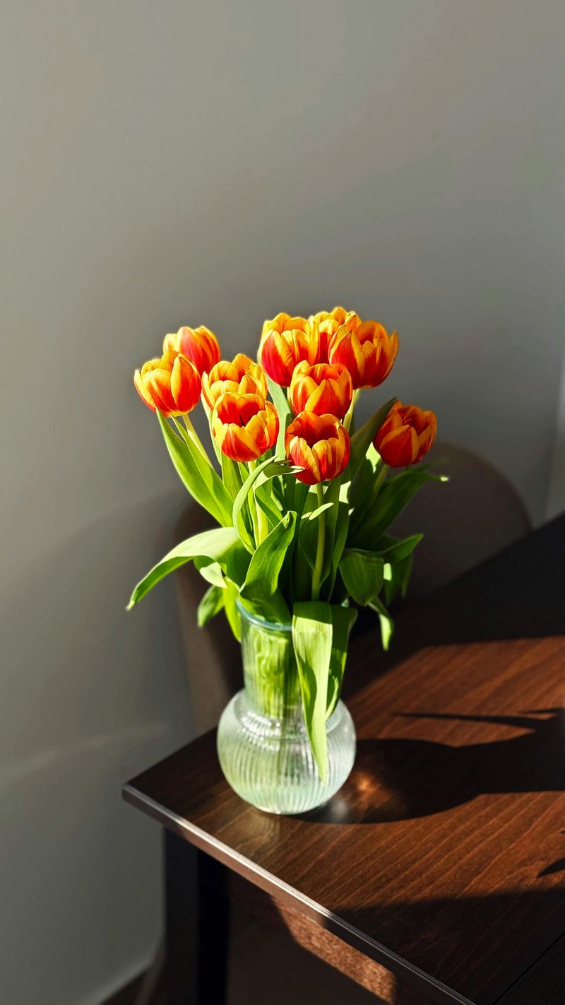 Fresh Flowers and Plants