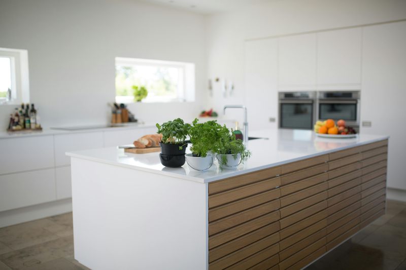 Fresh Greenery and Natural Elements
