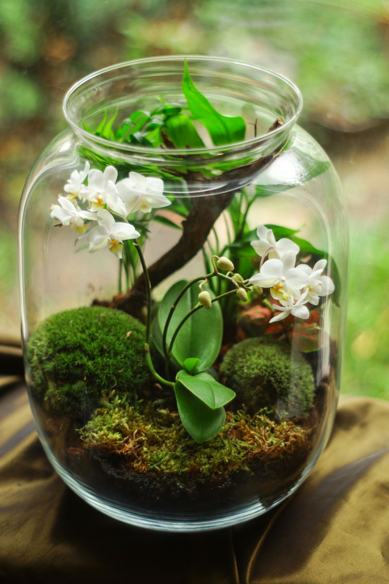 Glass Cloche Covering a Miniature Scene