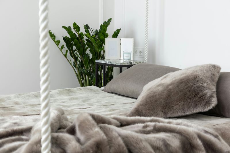 Houseplants for Air Quality