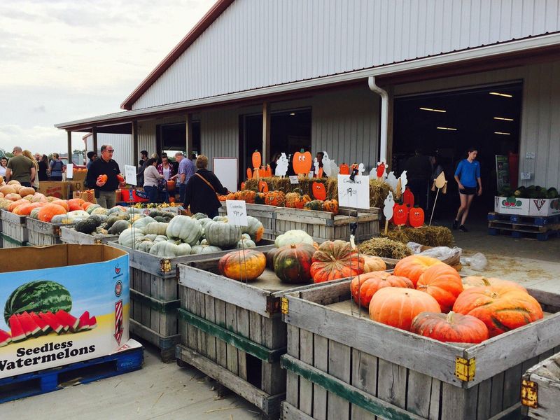 Lynd Fruit Farm (Pataskala)