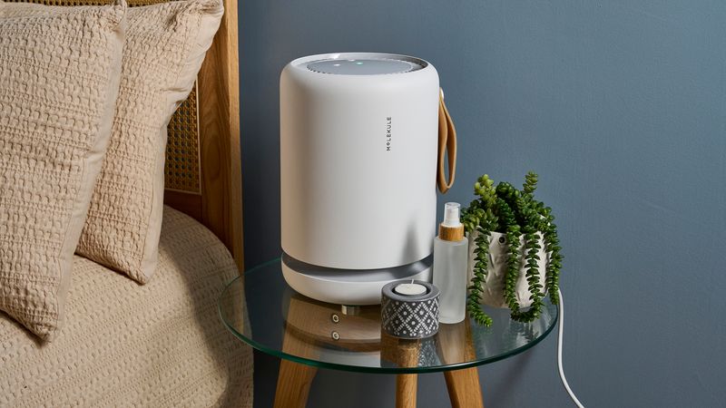 Molekule Air Mini+
