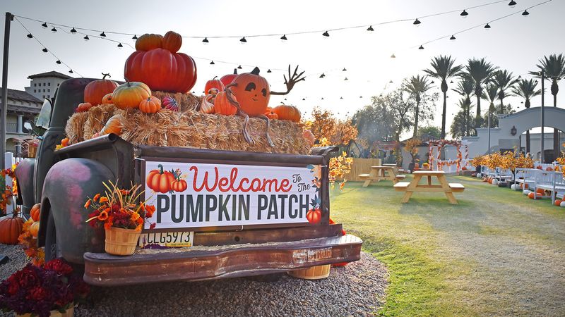 Pumpkin Fest at the Princess