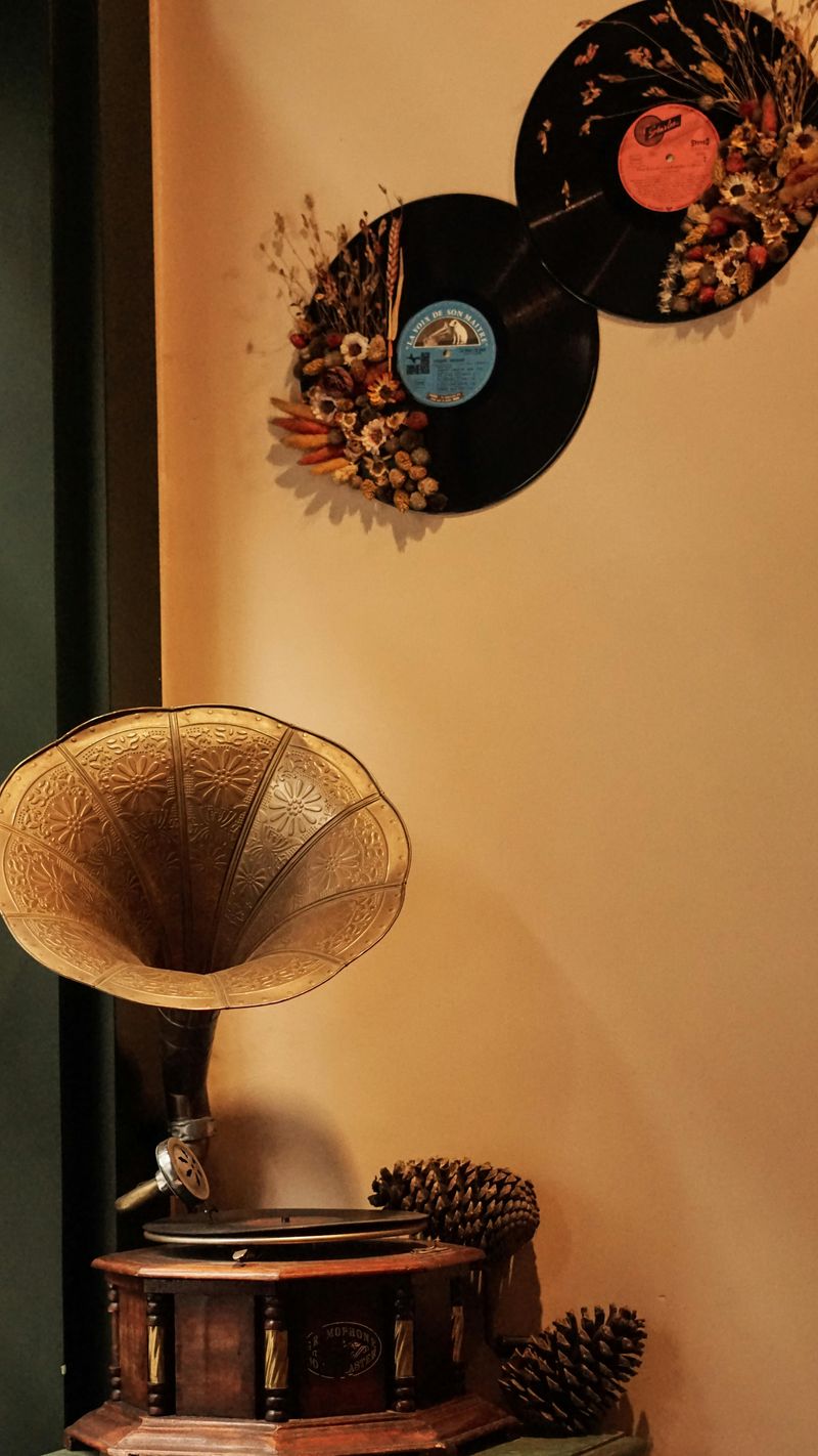 Record Players and Vinyl Displays
