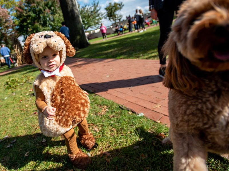 Ridgewood Haunted Harvest & Costume Parade