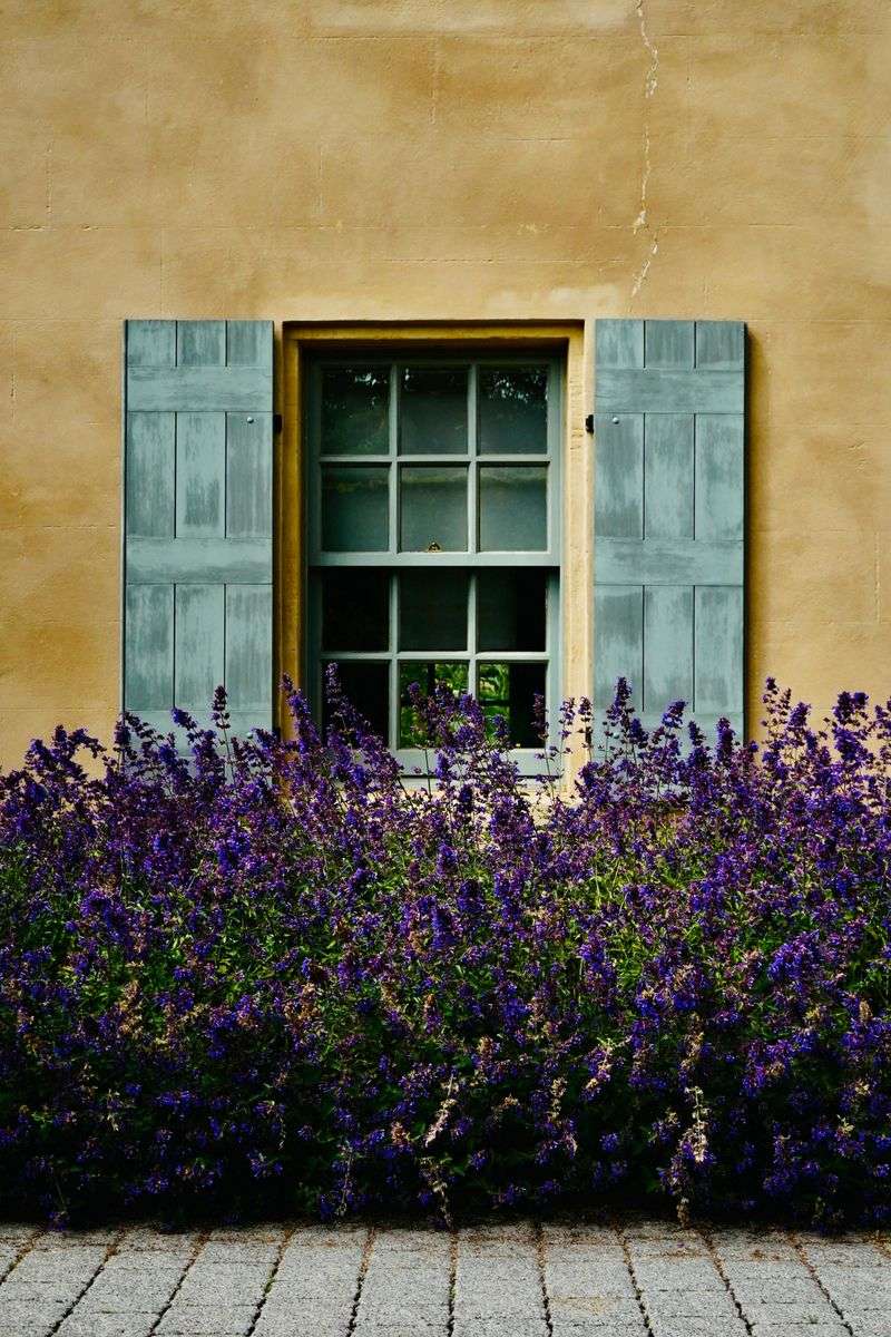 Salvaged Shutters as Decor