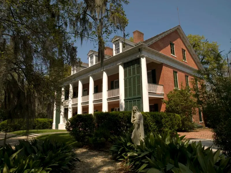 Shadows on the Teche