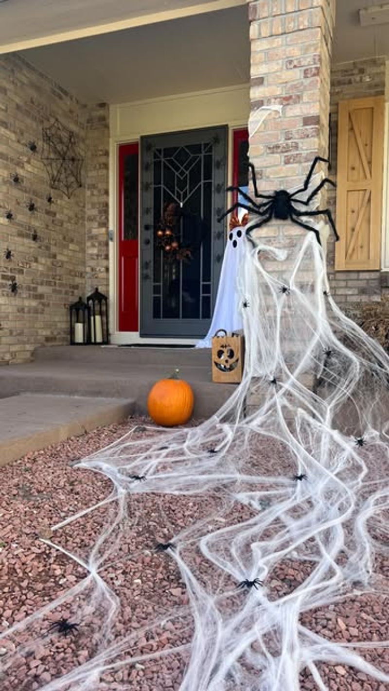 Spider Egg Sac Webbing