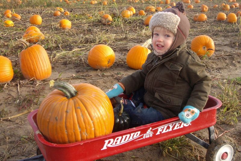 Tuttle Orchards — Greenfield