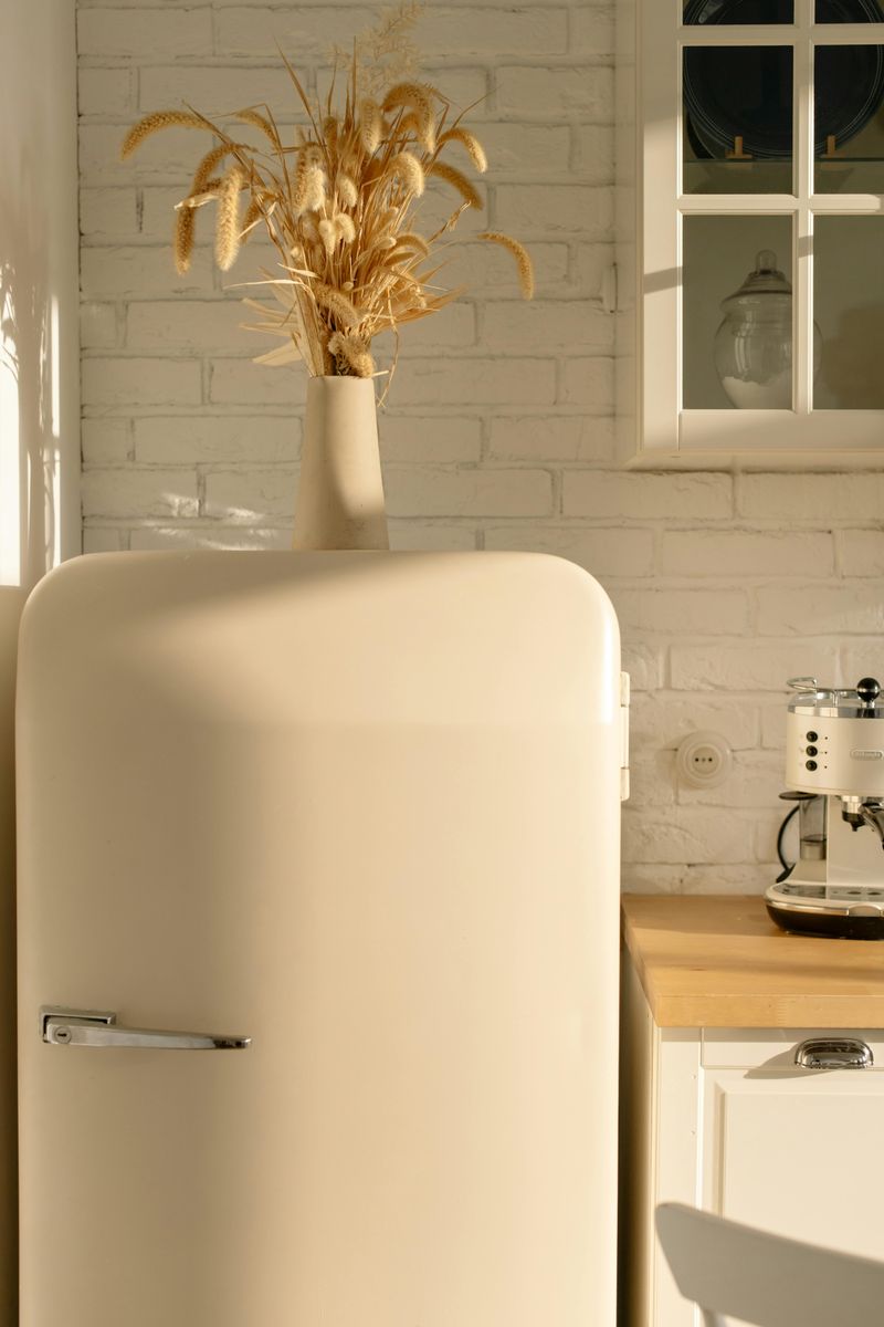 Vintage Appliances