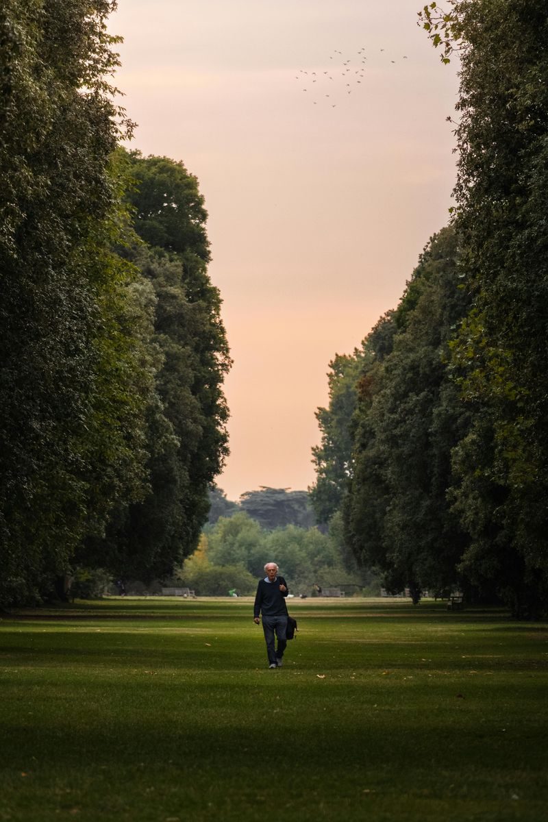 Walk Without a Destination (or a Screen)
