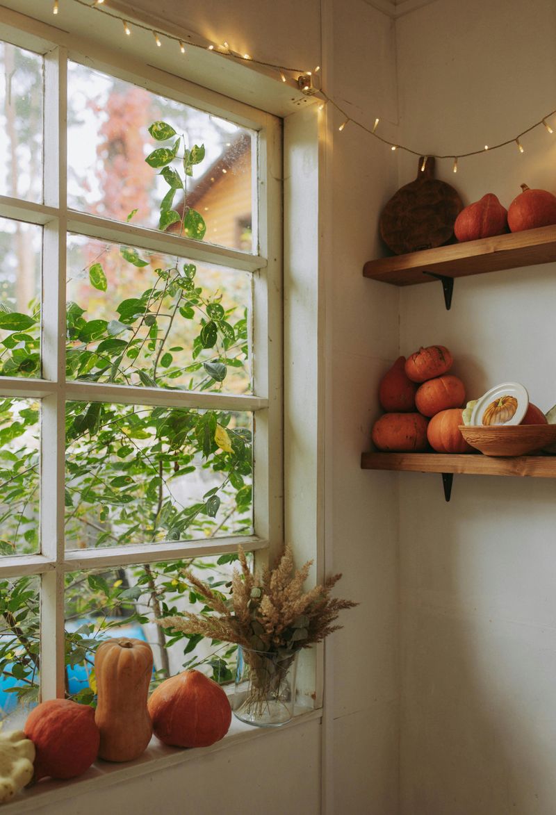 Warm String Lights Create Magic