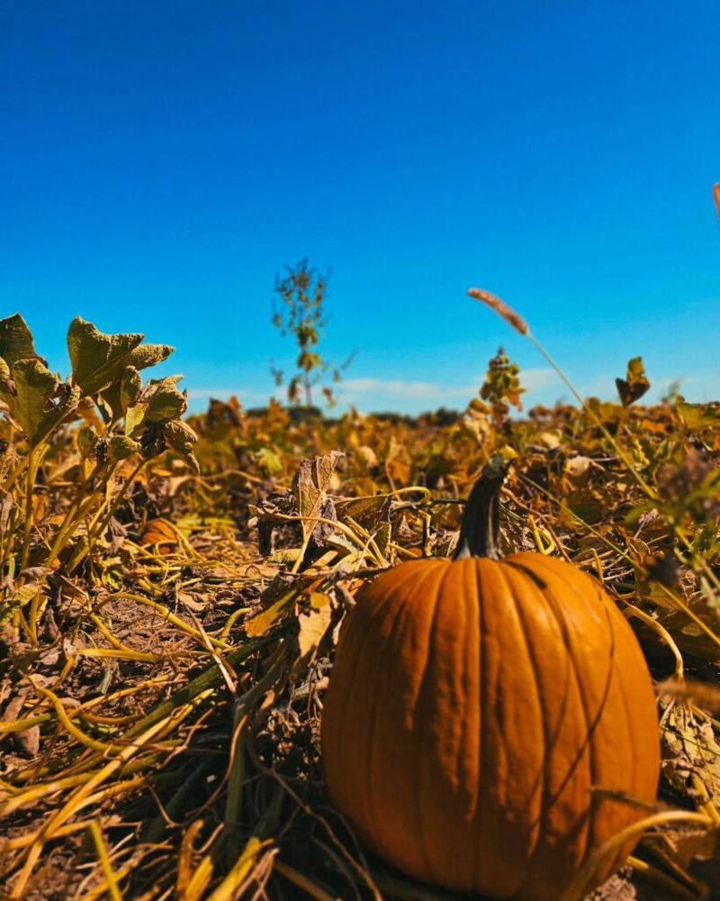 Waterman’s Family Farm — Indianapolis