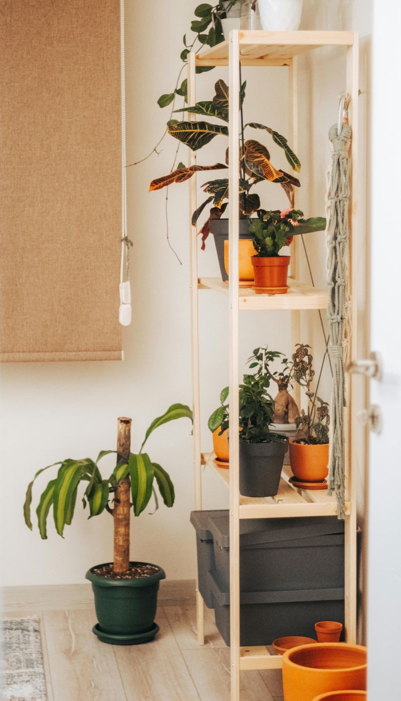 Bring Nature Inside With Plants