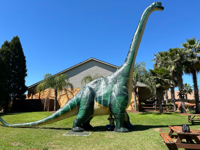 Dinosaur World Museum & Fossil Gallery