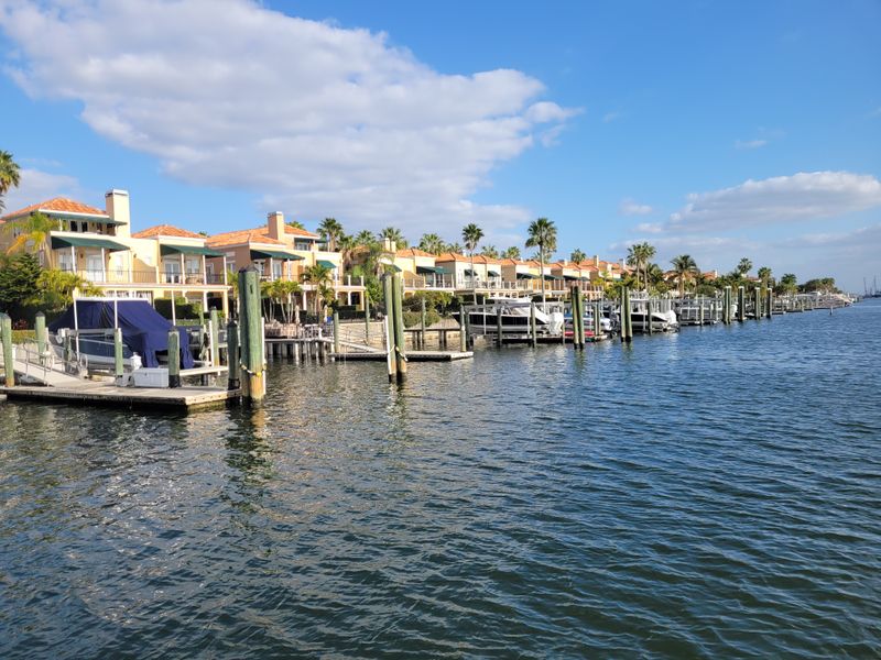 Dunedin (Dunedin, FL)