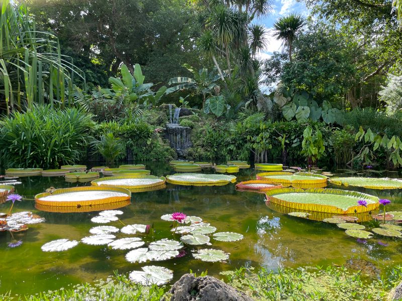 Fairchild Tropical Botanic Garden (Coral Gables, Miami)