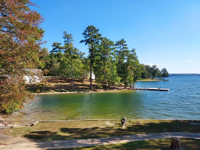 Lake Martin