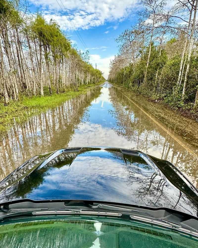 Loop Road – Big Cypress National Preserve