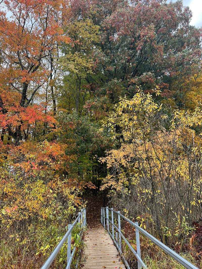 Pinhook Bog (LaPorte County)